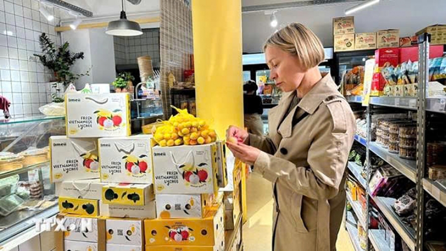 Vietnam’s fresh lychees hit French market for 2025 season